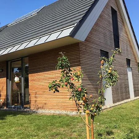 Haus Licht And Moor * 博恩